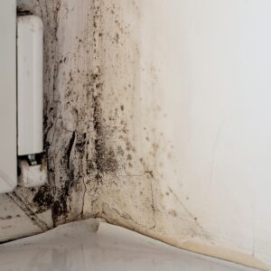 How Do You Keep Indoor Humidity Low in a Florida Home