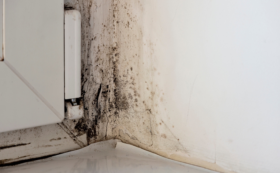 How Do You Keep Indoor Humidity Low in a Florida Home